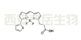 cas:  150173-72-1，BDP 558/568 carboxylic acid