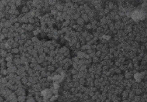Gold Nanorods，長(zhǎng)徑比為5（濃度0.5mg/ml）