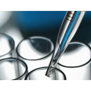 Lys-AuNPs@ZIF-8納米復(fù)合材料